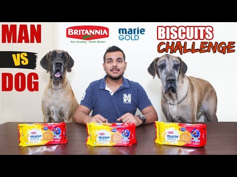 BISCUITS EATING CHALLENGE | MAN Vs DOG Series | Episode 02 | Food Challenge India