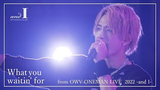OWV - What you waitin' for【OWV ONEMAN LIVE 2022 -and I-】