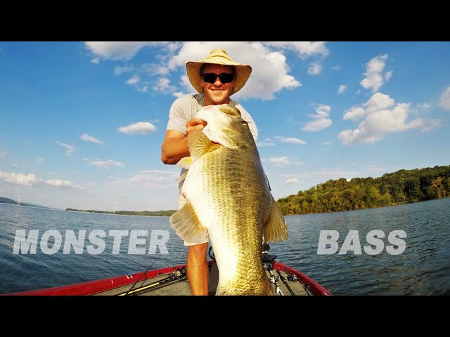 SECRETS to Catch MONSTER BASS in the Summer to Fall Transition! 
