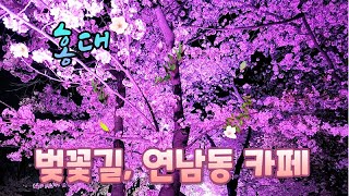 홍대 벚꽃이 이렇게 이뻤나? 봄 데이트 코스 !! #홍대벚꽃 #연남동카페 #데이트코스 #cherry blossoms