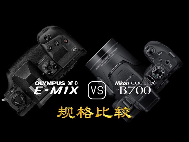 Olympus OM-D E-M1X 与Nikon COOLPIX B700 的规格比较- YouTube