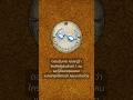รู้ก่อนบลัฟ - Grandmother #BloodOnTheClocktower