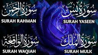 Surah Yaseen ❤ Surah Rahman ❤ Surah Al Waqia ❤ Surah Al mulk Soothing Quran recitation | Ep000200