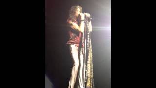 Aerosmith (Steven Tyler) - Brasília, Brazil 2013