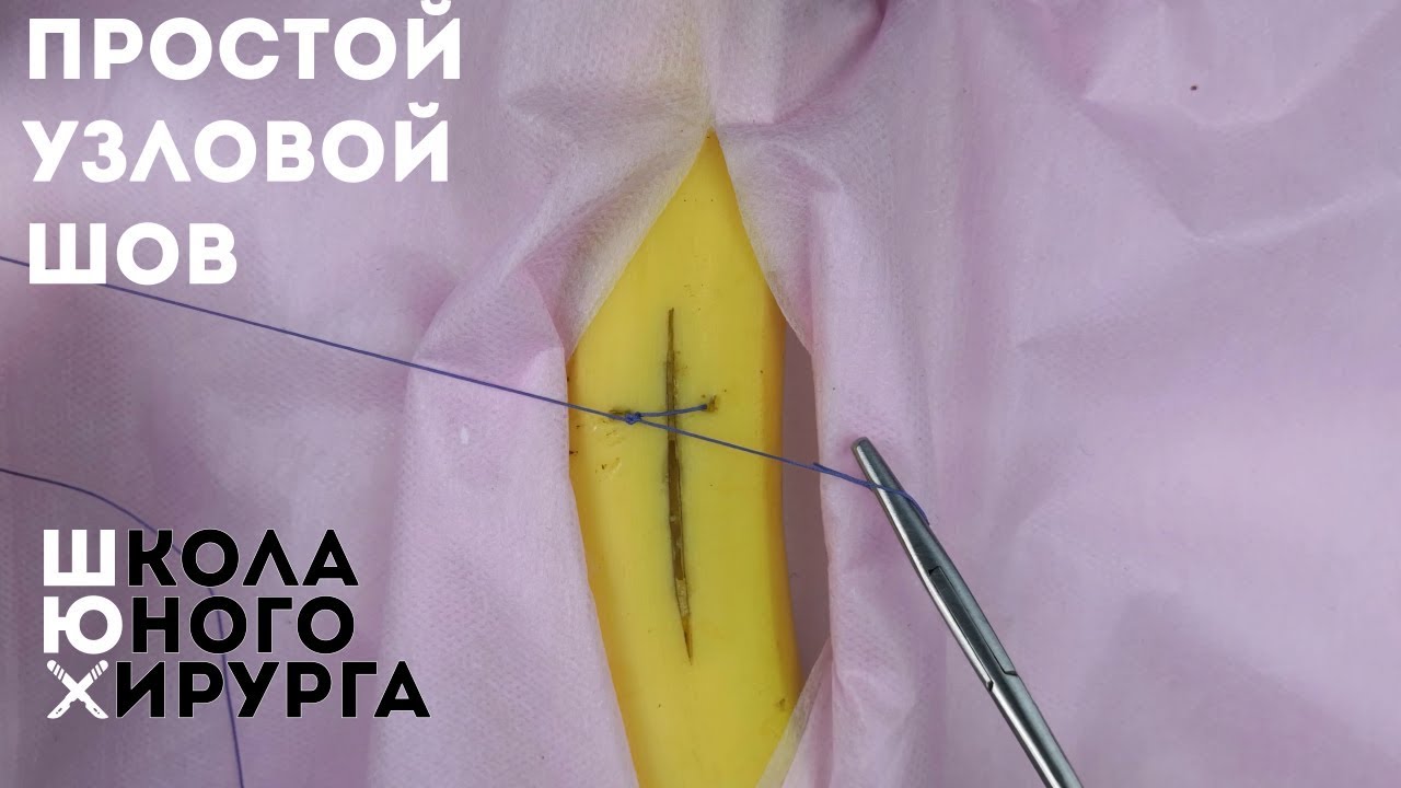 общая ветеринарная хирургия