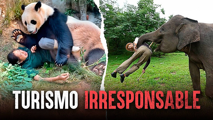 Cuando los animales se defienden: Ataques mortales en el zoológico