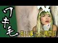 【わき毛チャレンジ】分かった事がある。男女共に見て欲しい。