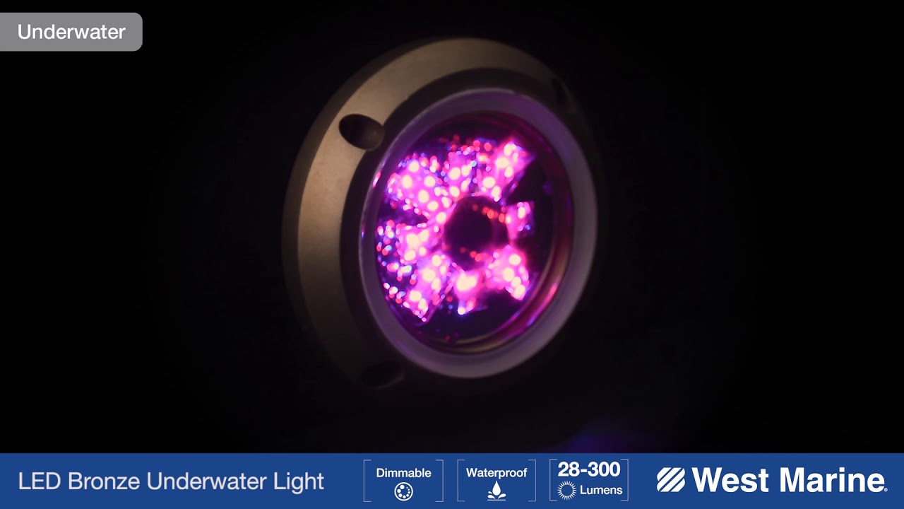 WEST MARINE Round 12 LED Underwater Light with Bronze Housing, RGBW