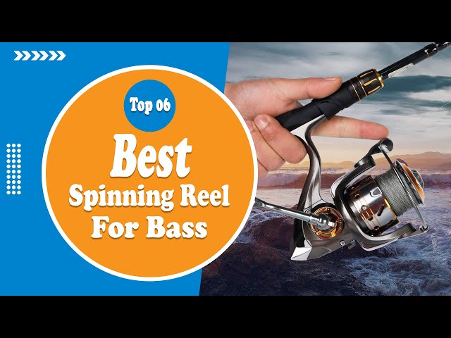 best lightweight laptop backpacks Amazon Sellers: Best Walleye Slayers - Tip Dry bag 1 x Backpack Daiwa Reel Size:1800 - ELECTRIC