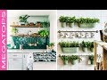 10 Mejores Plantas Para Poner en la Cocina