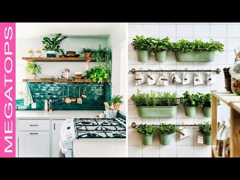 Video: Plantas De Interior Para La Cocina