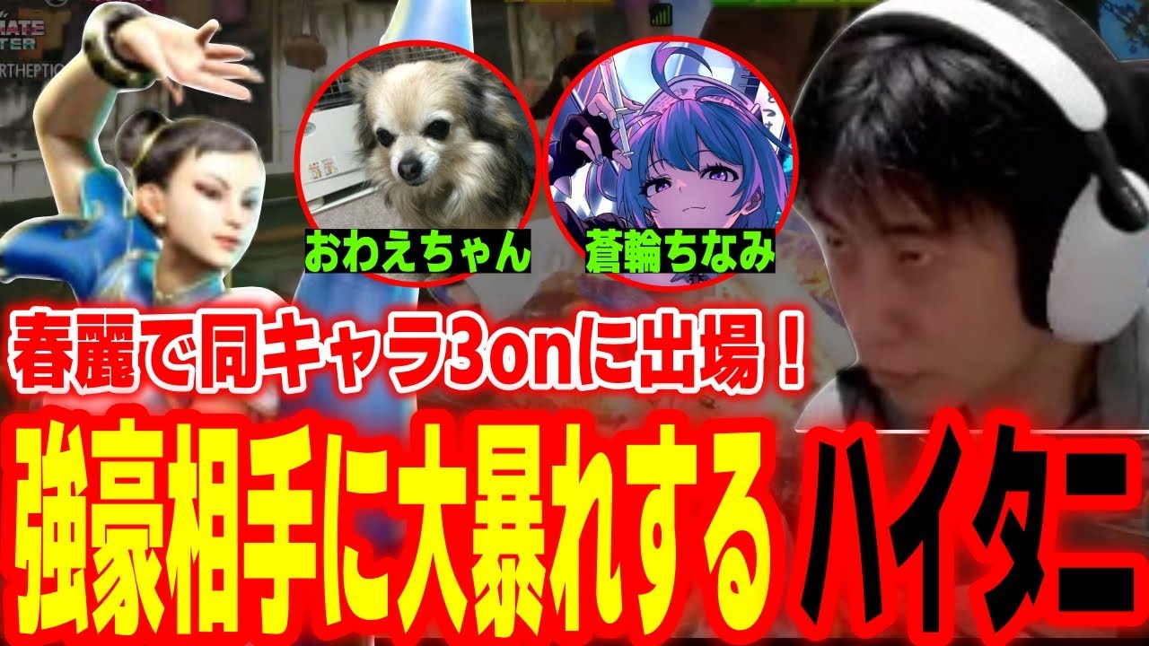 【スト6】春麗チームで同キャラ3onに出場！強豪相手に大暴れするハイタニ【蒼輪ちなみ おわえちゃん ハイタニ】【SF6 ストリートファイター6 スト6】