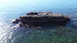 Piedra la Loba - Isla Tabon