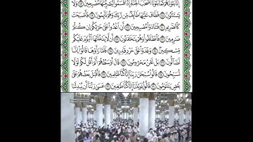 سورة القلم قراءة الشيخ أحمد بن طالب