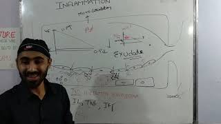 Inflammation: Vascular Events | Part 2