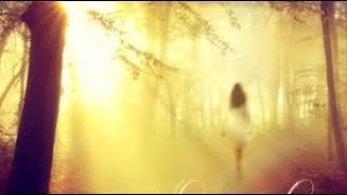 Whimsical - The Exception