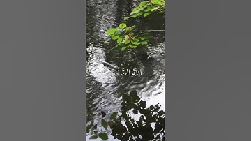 سورة الإخلاص #اسلاميات #لايك #تيك_توك #nature #ترند #peace #اكسبلور #duet #دينيه