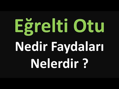 Video: Eğrelti Otu Bahçesi: Kıl Taşıyan Mnogoryadnik