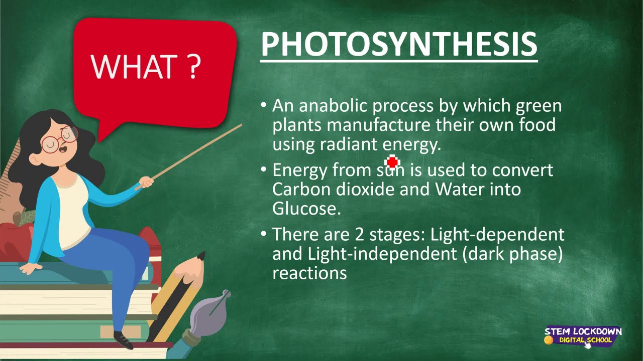 grade 11 life science assignment term 2 photosynthesis 2023 memo