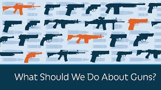 What Should We Do About Guns?, From YouTubeVideos