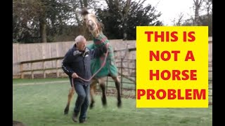 How to Make A Dangerous Horse - Not A Horse Problem - Understanding Pressure &amp; Release Of Pressure