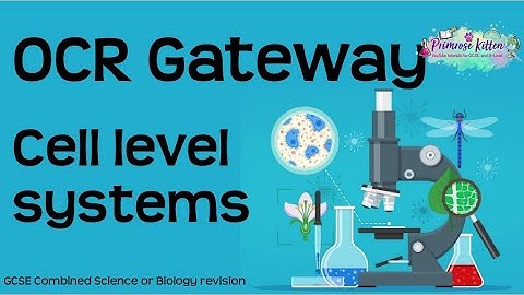 De volledige OCR Gateway Biology Topic 1 - Celniveausystemen. GCSE-herhaling