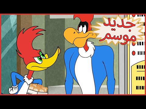 وودي نقار الخشب إصبع في الفطيرة حلقة كاملة