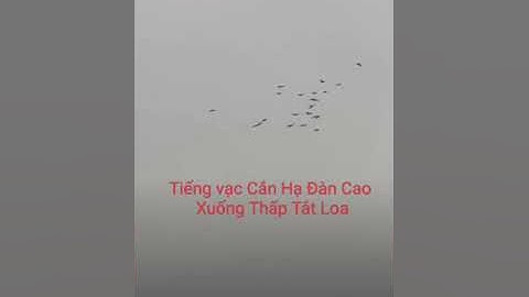 Tiếng vạc Cắn Hạ Đàn Cao