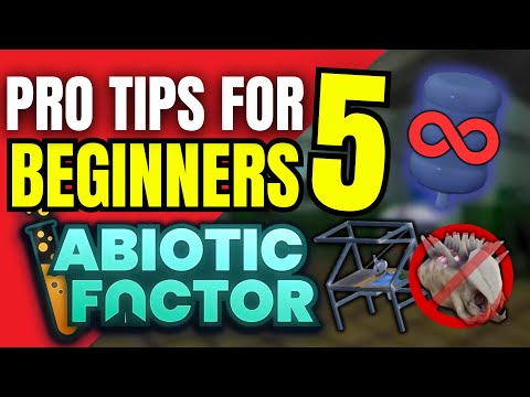 Cristoferideas: 5 Tips For Beginners.