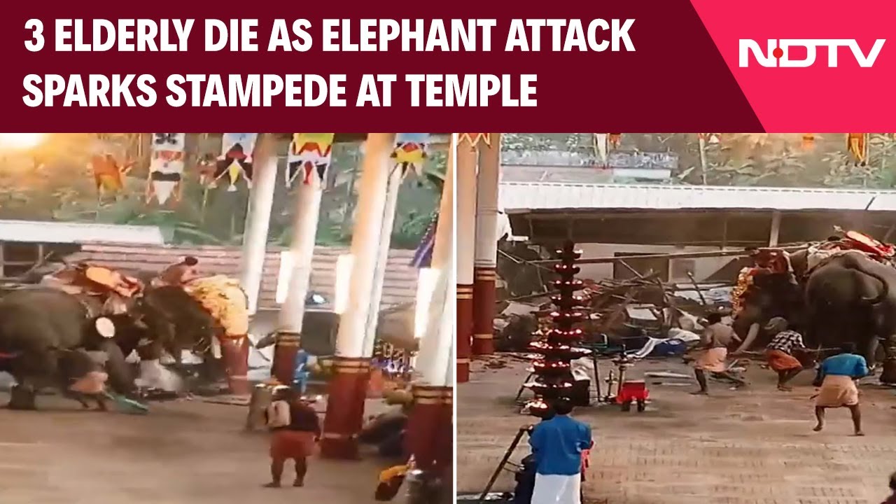 Kerala Elephant Attack | 3 Elderly Die As Elephant Attack Sparks Stampede At Kerala Temple