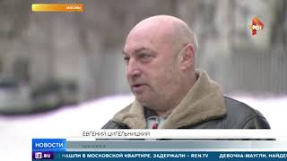 Владельцев собак обяжут надевать намордники на питомцев Владельцев собак обяжут надевать намордники на питомцев