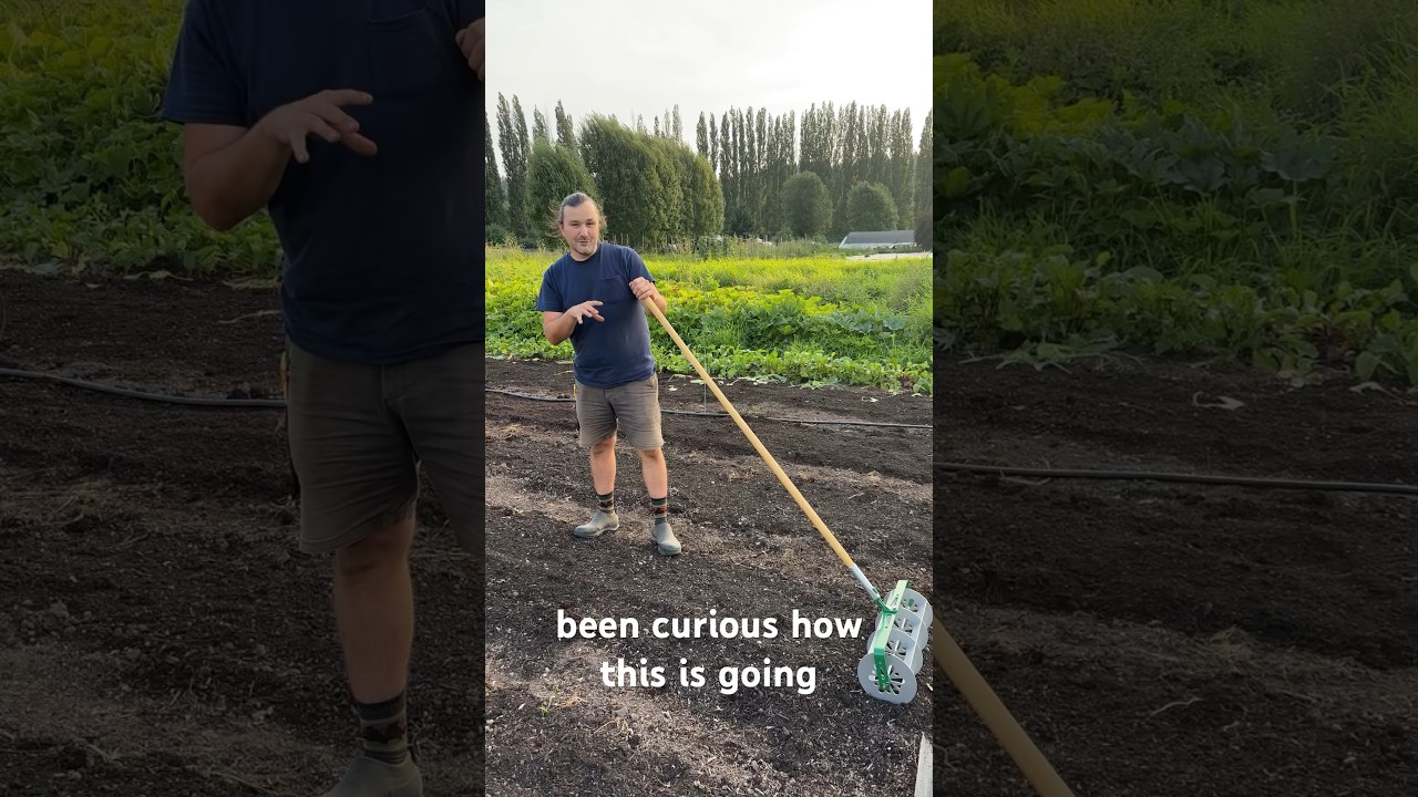 $200 Garden Tool: Worth It?