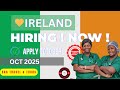 Ireland Work Visa 2025 🇮🇪 | Jobs, Salaries, Visa Sponsorship &amp; Easy PR Pathway