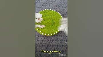 *the adventure of don Quixote*(7th - Level 1) project. working model teaching aids #shorts