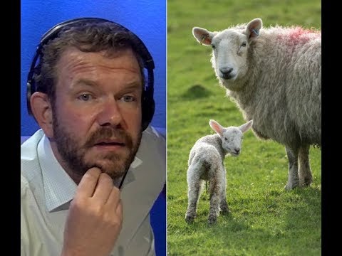 James O'brien Gets Schooled On Brexit By A Farmer From Devon