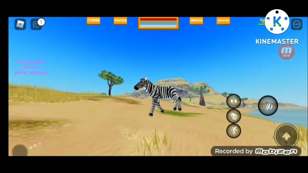 Jogando playbox safari com zebra roblox gameplay PTBR YouTube