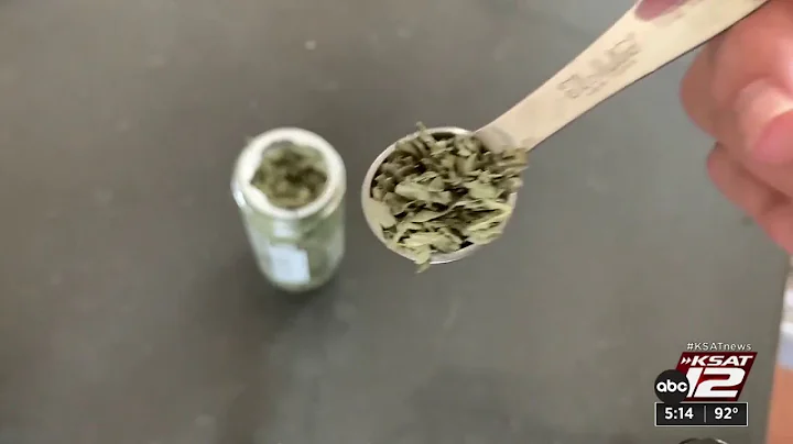 Cooking herbs, spices can contain heavy metals, tests show. Here’s how to grow your own.