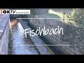 Postkarte aus fischbach bei dahn