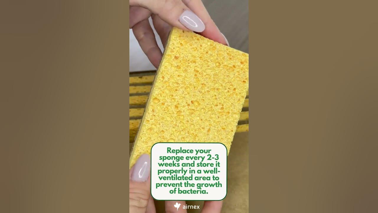 how-do-i-stop-my-sponge-from-smelling-shorts-youtube