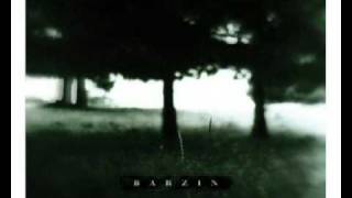 Barzin - Past All Concerns