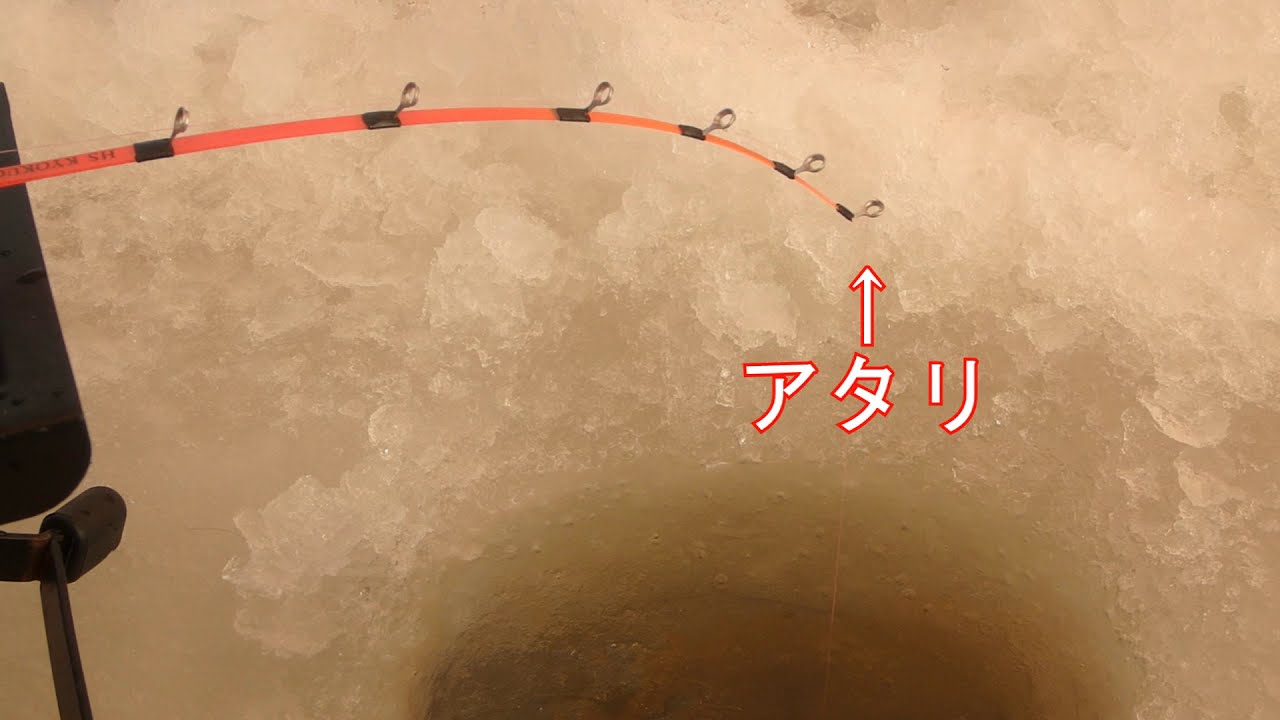 初心者も必見！ワカサギ釣り、釣果UPのヒント。