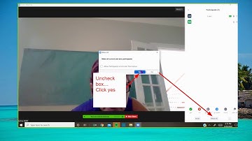 How to mute all participants in Zoom?