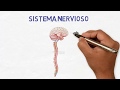 Neurología para pacientes - ¿Qué hacen los neurólogos?