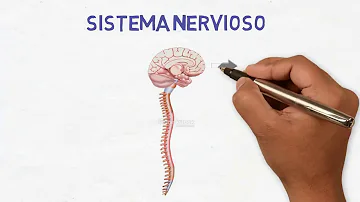 ¿Puede un neurólogo diagnosticarle ansiedad?