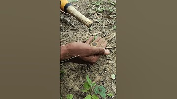 pinpointer metal detector 😱#shorts #short #youtubeshorts #viral #metaldetecting #treasurehunting