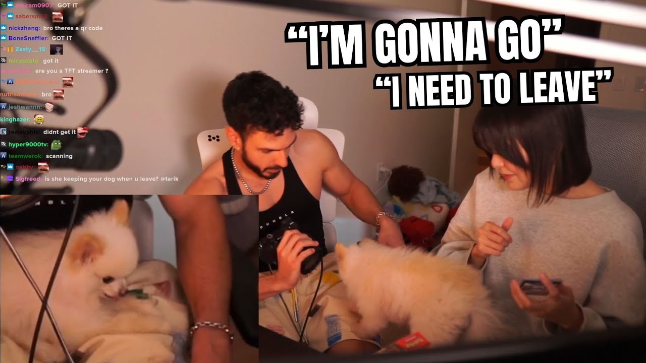 Nabi CHOSE To Sit in Tarik's LAP and Miyoung CANNOT BELIEVE IT + Plays Valorant Together