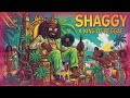 🔴 Island Vibe Reggae: Sean Paul, Buju Banton, Jah Cure, Lila Iké, Koffee, Shaggy, Etana