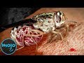 Top 10 Most Nightmarish Parasites