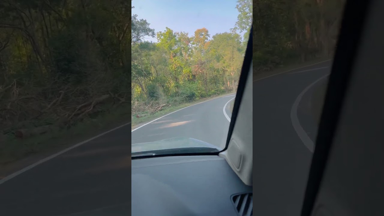 Beautiful roads in Jim Corbet Park in Ramnagar Uttarakhand | Best weather to visit | 