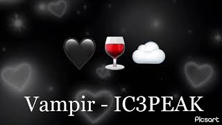 Vampir- IC3PEAK (speed up)🍷